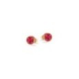 Orecchini Pietra Brillante Rossa Argento