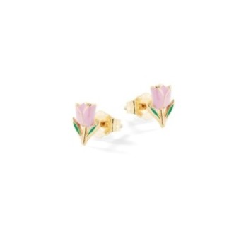 Orecchini Rose Argento