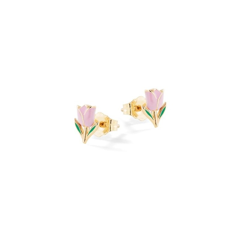 Orecchini Rose Argento