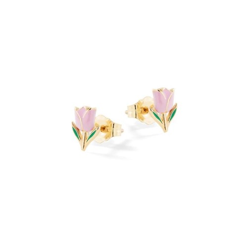 Orecchini Rose Argento